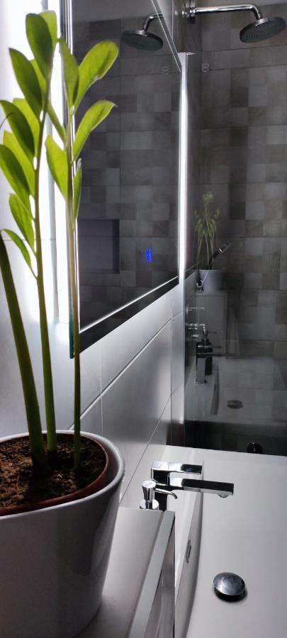 Apartament Denis